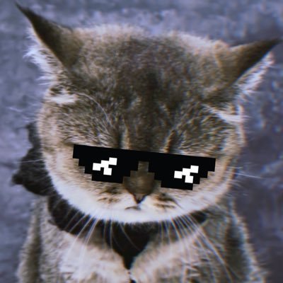 ouroadiija's profile picture