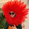 VllXlVVll 🐚🌿🦦 profil fotoğrafı
