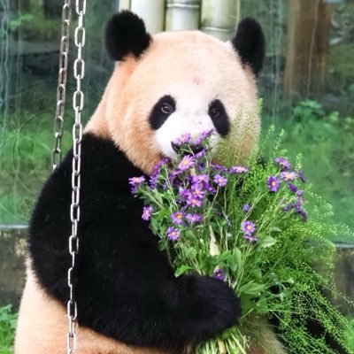 mommy loves you's profile picture