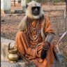 Stalker Gabru's profile picture