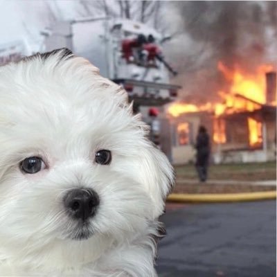 beonnnie's profile picture