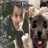 𝓡𝓮𝓫 🪽🐿️ profil fotoğrafı