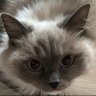 Bill profil fotoğrafı