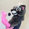Paups Sawoogus 🍭 🦝 🔜 MFF 的头像