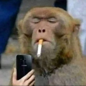 Cleef's profile picture