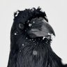 sepertimya profil fotoğrafı