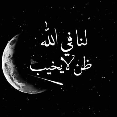 Badreyyaalshehi's profile picture
