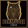 PEPE BÚHO BERMÚDEZ-RANDOM POSTS. profil fotoğrafı