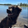 JeffTinyBear's profile picture