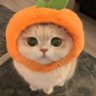 pruksmile's profile picture