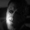Profilbild von Katipax