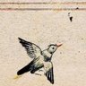 🌟Öyle biri's profile picture