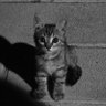 Mina profil fotoğrafı