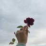 Nouf✨'s profile picture