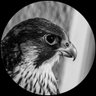 Profilbild von 𝕱