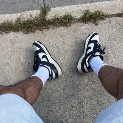 Arab Socks's profile picture