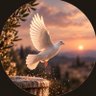 Profilbild von حيـاة ..🕊️