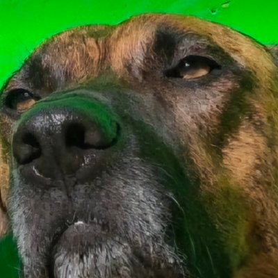 Alvaro Almeida's profile picture