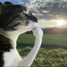 yaaaaah profil fotoğrafı