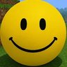 verity of shtwt's profile picture