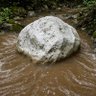 Stone in a stream of Mud profil fotoğrafı