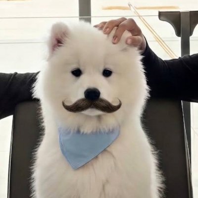 ชพม.🎀🫧's profile picture