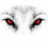 Wolfpack3000 的头像