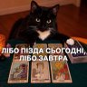 Profilbild von Министерство Черезобычных Ситуэйшн