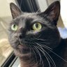 たむぱん profil fotoğrafı