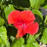 Pam Van Alstyne's profile picture