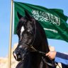 𓃗 ابوتالا🇸🇦 的头像