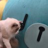 ࣪ ִֶָ 𝒏𝑬𝒏𝒈 ࣪˖ ִֶָ𓋜 的头像