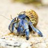 lil guy profil fotoğrafı