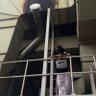 xehno 的头像