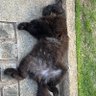 SW8 profil fotoğrafı