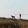 ध्रुव जगन्नाथ 🇮🇳 的头像