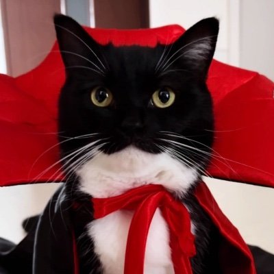 🗡🥀 Frost 🇷🇺🇲🇩's profile picture