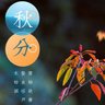 youmingzide's profile picture