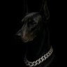 ALL DAWGS GO TO HEAVEN 🐶 profil fotoğrafı