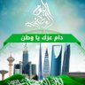 ابو احمد 的头像