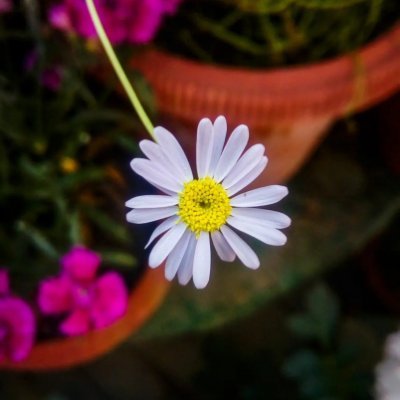 indor_23's profile picture