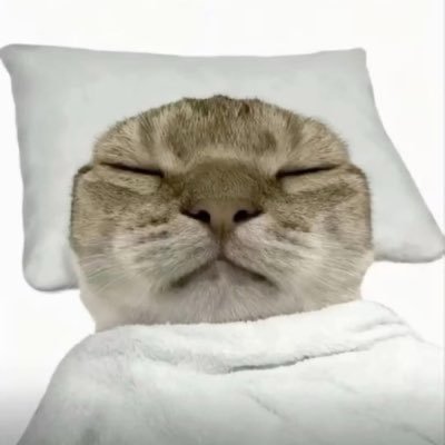 juni✰'s profile picture