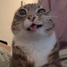 Y U R I Z I N 不's profile picture