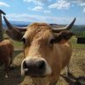 Yass'In profil fotoğrafı