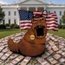 Defecation Nation 的头像
