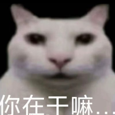 别问我多大问就还是玩粑粑的年纪再问就是兜不住屎的年纪's profile picture