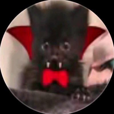 goth aesthetics's profile picture