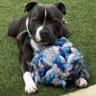 DepressenDOOMED's profile picture