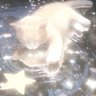 fast's profile picture