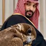 Фото профиля ابو رامي